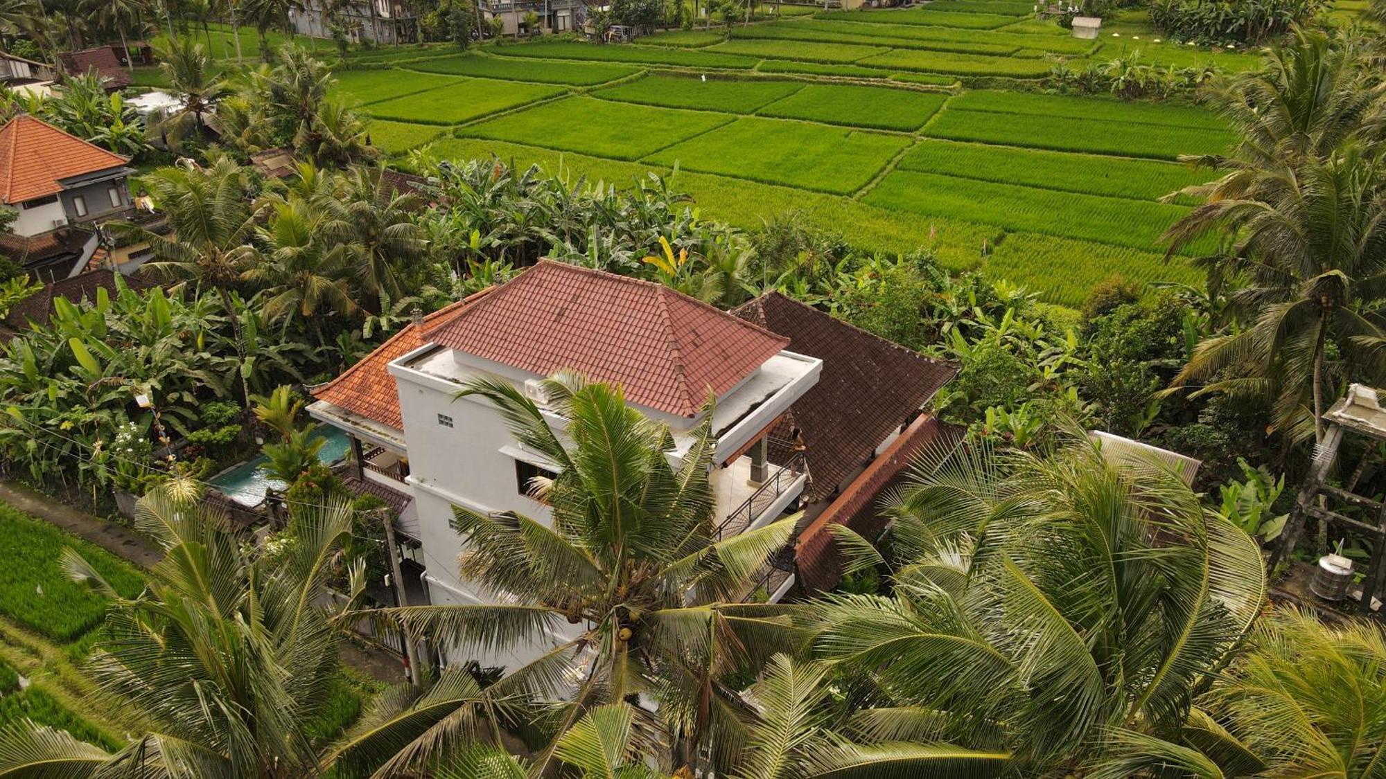 Nirwa 1 Ubud Guesthouse エクステリア 写真